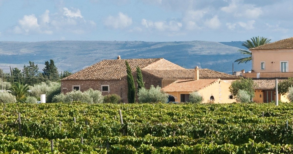 Exclusive winery tour in Sicily Wine Paths